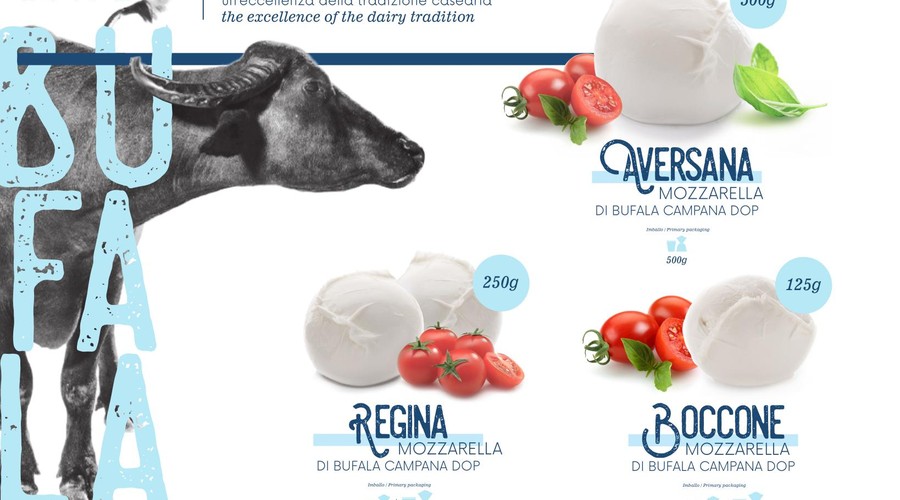 Nuova Casearia mozzarella and buffalo dairy range from its catalog